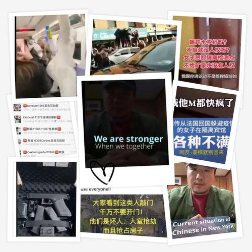 全球病毒最新爆料视频,病毒爆料视频深度解析 第2张 全球病毒最新爆料视频,病毒爆料视频深度解析 第2张