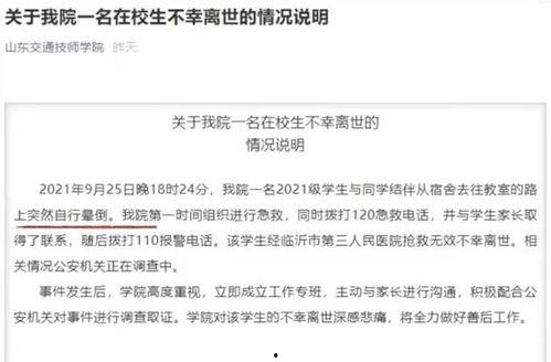 宝山技工学校爆料案件最新,揭秘校园内幕，真相即将揭晓  第2张