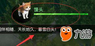 逆水寒最新爆料宠物攻略  第2张