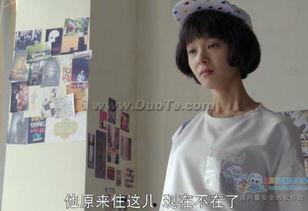 致青春40集在线观看,青春岁月里的爱与成长  第1张