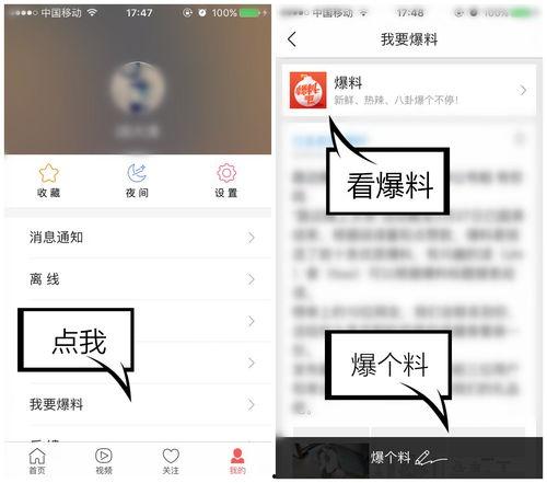 爆料视频有几个入口,爆料视频神秘入口,一探究竟 第3张 爆料视频有几个入口,爆料视频神秘入口,一探究竟 第3张