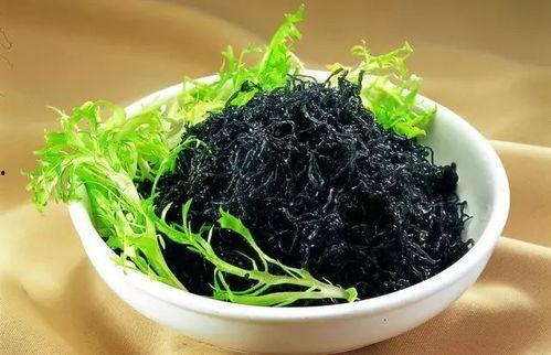 紫菜制作爆料怎么做的视频 第2张 紫菜制作爆料怎么做的视频 第2张