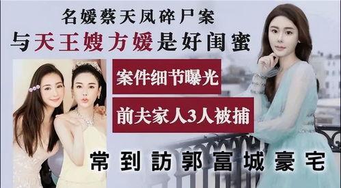 蔡天凤最新爆料,揭秘事件背后惊人真相  第3张