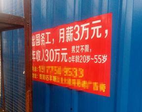 六八八最新爆料,揭秘娱乐圈最新动态与幕后真相