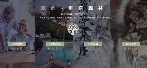 中国房子爆料视频,爆料视频深度剖析  第2张