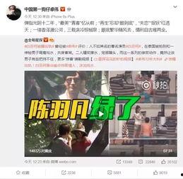 刘心大瓜爆料视频下载,娱乐圈幕后真相大曝光  第2张