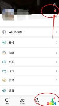 微信免费吃瓜入口在哪,轻松获取独家资讯，畅享瓜界盛宴  第3张