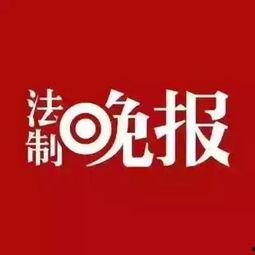 仙鱼最新爆料新闻报道,最新热点事件深度解析