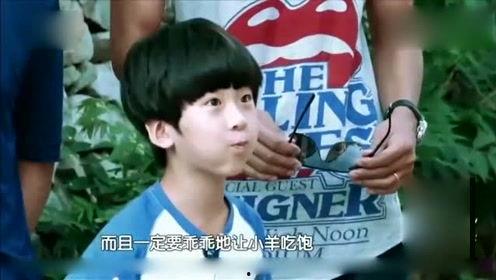娱乐八卦独家爆料横屏,明星幕后故事全曝光  第3张