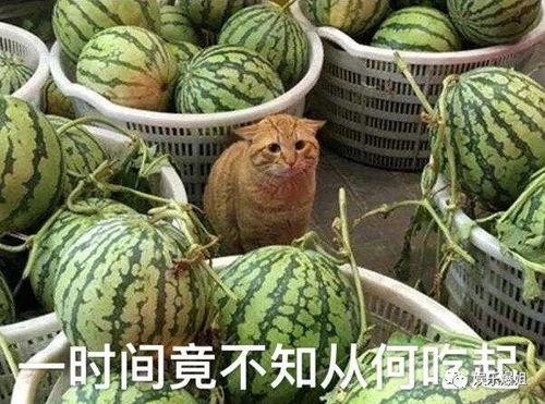 最新吃瓜大爆料,最新吃瓜大爆料，真相令人震惊！  第2张