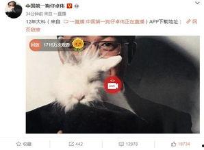 天真爆料视频,一窥娱乐圈幕后真相  第3张