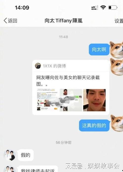爆料迪拜网红视频大全最新,揭秘迪拜网红视频大全背后的精彩瞬间 第3张 爆料迪拜网红视频大全最新,揭秘迪拜网红视频大全背后的精彩瞬间 第3张
