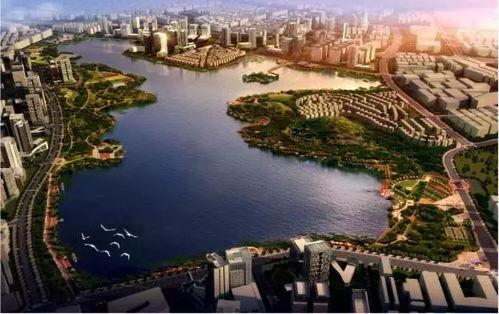 深圳福永最新爆料,揭秘区域发展新动态与未来规划  第2张