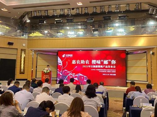 《帮助》在线观看,揭示人性光辉与困境的温情故事  第3张