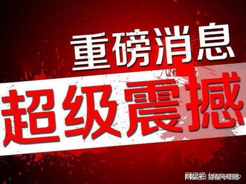 威佳集团最新爆料消息新闻,揭秘企业转型背后的关键举措与成果  第2张