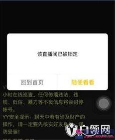 官方爆料免费视频,免费视频盛宴，尽在掌握！