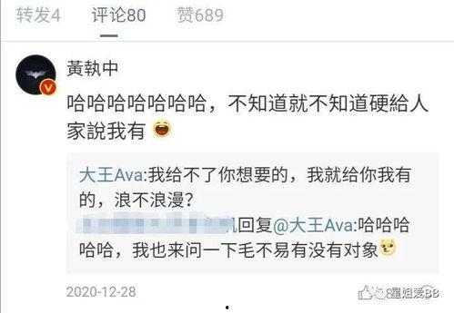彩虹夫妇爆料大王视频,大王视频背后的惊人真相