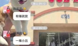 科普爆料姐姐视频大全,视频大全中的科学奥秘