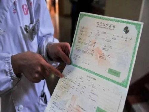 电视剧户口全集在线观看,揭秘户籍制度的变迁与人生百态  第2张