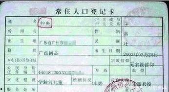 电视剧户口全集在线观看,揭秘户籍制度的变迁与人生百态  第3张