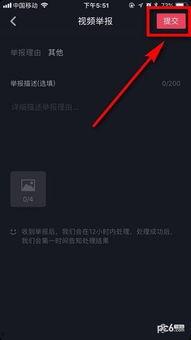 抖音举报爆料视频,揭秘网络暴力背后的真相  第3张
