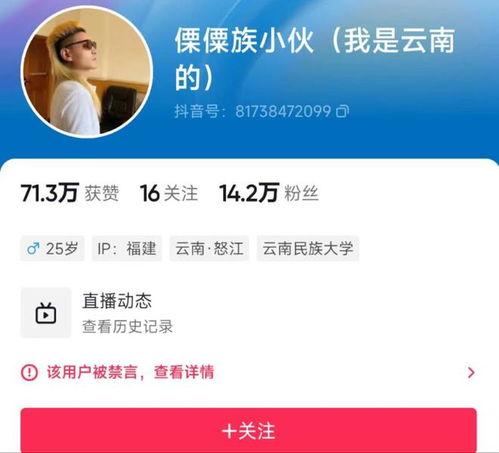 怎么向自媒体爆料呢视频,如何高效向平台提供线索