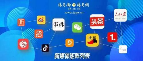 怎么向自媒体爆料呢视频,如何高效向平台提供线索  第2张