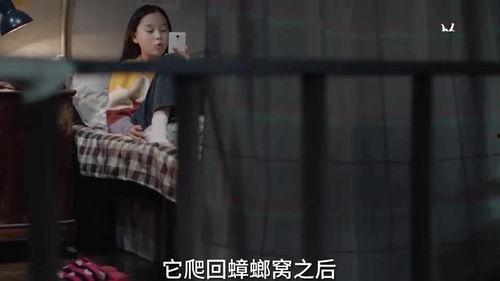 漂亮姐姐爆料小孩子视频,漂亮姐姐曝光萌娃视频，萌态可掬萌翻网友