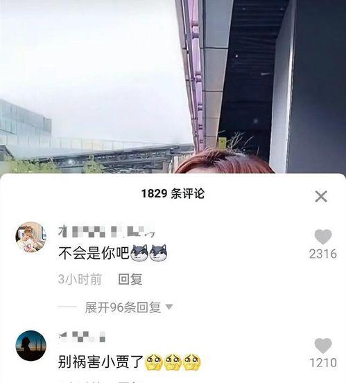 范丞丞爆料刘大锤视频播放,揭秘娱乐圈幕后真相