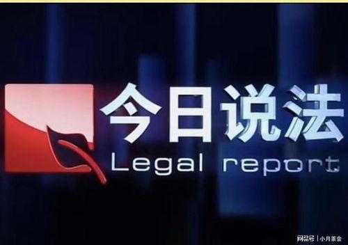 怎样联系今日说法爆料,如何有效联系与参与