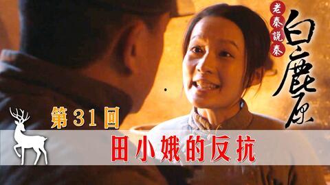 白鹿原31集在线观看,揭秘家族纷争背后的惊人真相