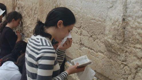 娱乐吃瓜君耍猴版,揭秘耍猴版背后的趣味与真相  第2张