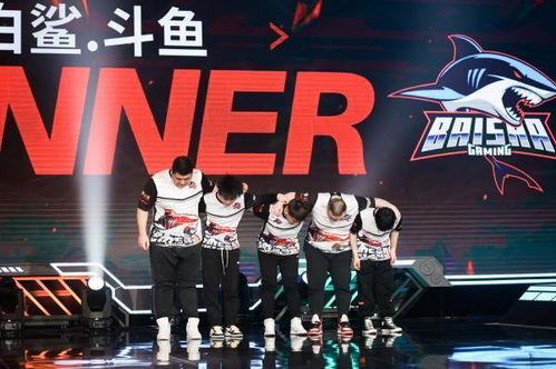 老三爆料白鲨视频大全