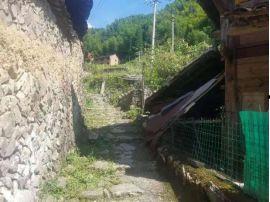 泰顺最新爆料,最新爆料带你领略这座神秘山城的魅力