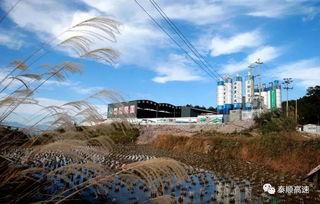 泰顺最新爆料,最新爆料带你领略这座神秘山城的魅力  第2张