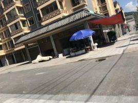 泰顺最新爆料,最新爆料带你领略这座神秘山城的魅力  第3张