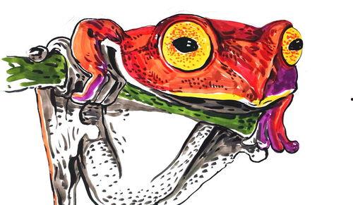 吸血蛙在线观看,神秘生物的惊悚之夜  第3张