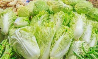 吉林大白菜爆料视频播放