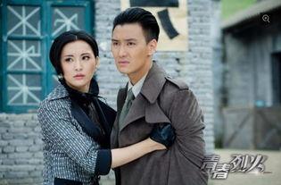 青春烈火36集在线观看,热血青春，激情燃烧的岁月  第2张