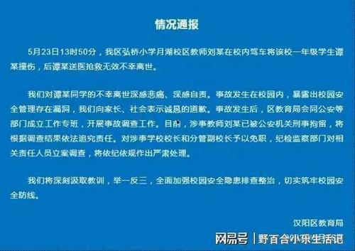 武汉被撞学生爆料事件最新,真相与反思并行，社会关注聚焦校园安全  第3张