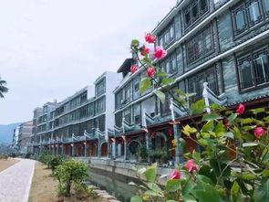 北流市的最新爆料视频,现场实况直击