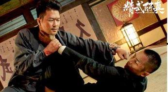 精武陈真在线观看,热血江湖，武术传奇