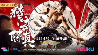 精武陈真在线观看,热血江湖，武术传奇  第3张