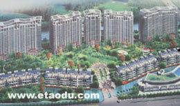 建德房产爆料最新消息新闻,揭秘最新爆料新闻焦点