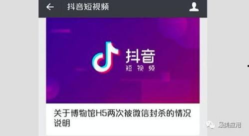 爆料 视频 入口在哪里,爆料视频神秘入口大揭秘！  第3张