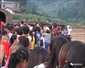 石家庄爆料猴子进村视频  第2张