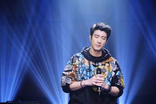 娱乐大爆料王力宏是谁呀,王力宏的星光历程  第3张