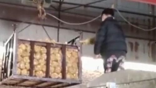 消毒液爆料视频播放,视频爆料揭示消毒液背后的秘密  第3张