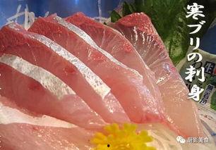 日料刺身爆料视频大全,独家爆料视频大全