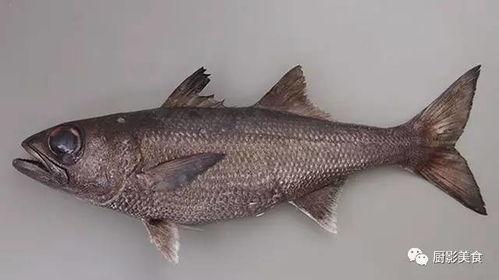 日料刺身爆料视频大全,独家爆料视频大全 第3张 日料刺身爆料视频大全,独家爆料视频大全 第3张